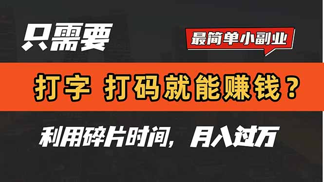 只需要打字，打码，就能赚钱？简单的赚钱小副业，利用碎片时间，月入过万-天行资源库