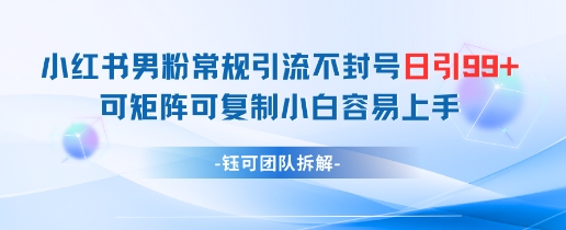 小红书男粉常规引流不封号日引99+变现简单 可矩阵可复制小白容易上手-天行资源库