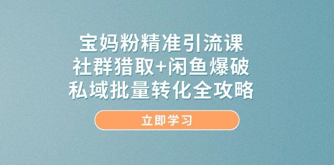 宝妈粉精准引流课，社群猎取+闲鱼爆破，私域批量转化全攻略-天行资源库