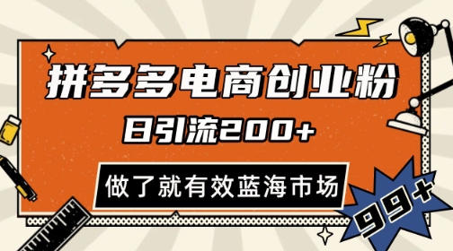 拼多多引流电商创业粉，日引200+，可矩阵放大，做了就有效【揭秘】-天行资源库