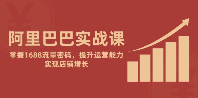 阿里巴巴实战课：掌握1688流量密码，提升运营能力，实现店铺增长-天行资源库