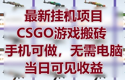 最新挂G项目，CSGO游戏搬砖，手机可做，无需电脑，当日见收益【揭秘】-天行资源库