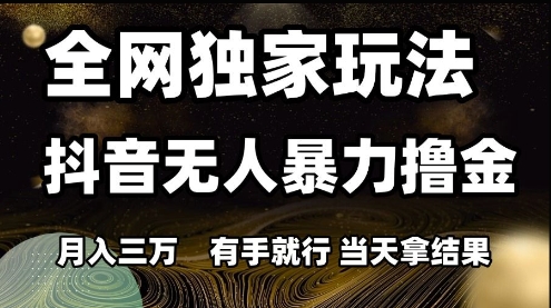 全网独家玩法抖音无人暴力撸金，月入3W，有手就行，当天拿结果【揭秘】-天行资源库