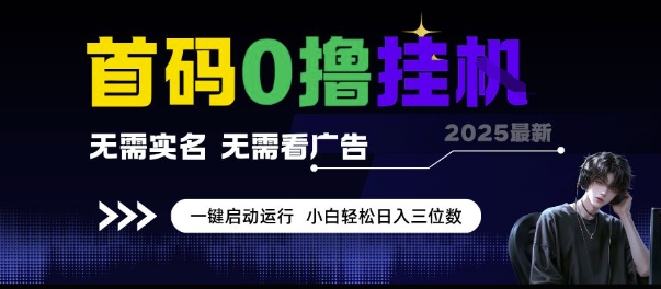 首码0撸挂G项目，无需实名无需看广告 一键启动运行，小白轻松日入三位数【揭秘】-天行资源库