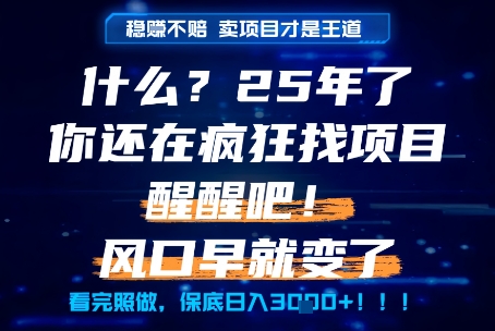 什么？25年你还在疯狂找项目做，醒醒吧，看完这些你全都懂了！【揭秘】-天行资源库