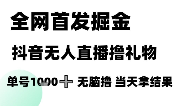 全网首发掘金抖音无人直播撸礼物，单号1k +无脑撸，当天拿结果【揭秘】-天行资源库