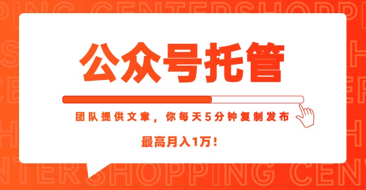 【公众号托管 】我提供文章，你每天５分钟复制发布，最高月入1W-天行资源库