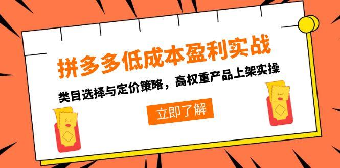 拼多多低成本盈利实战，类目选择与定价策略，高权重产品上架实操-天行资源库