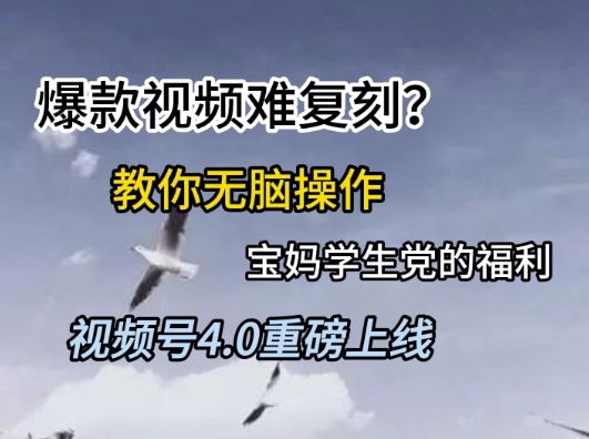 视频号4.0重磅上线，爆款视频难复刻？教你无脑操作宝妈学生党的福利【揭秘】-天行资源库