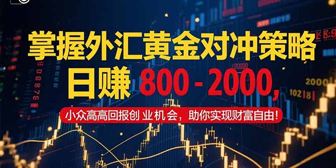 掌握外汇黄金对冲策略，日赚 800 – 2000，小众高回报创业机会，助你实…-天行资源库