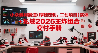 小众暴利赛道(球鞋定制，二创项目)实体+私域2025王炸组合  交付手册-天行资源库