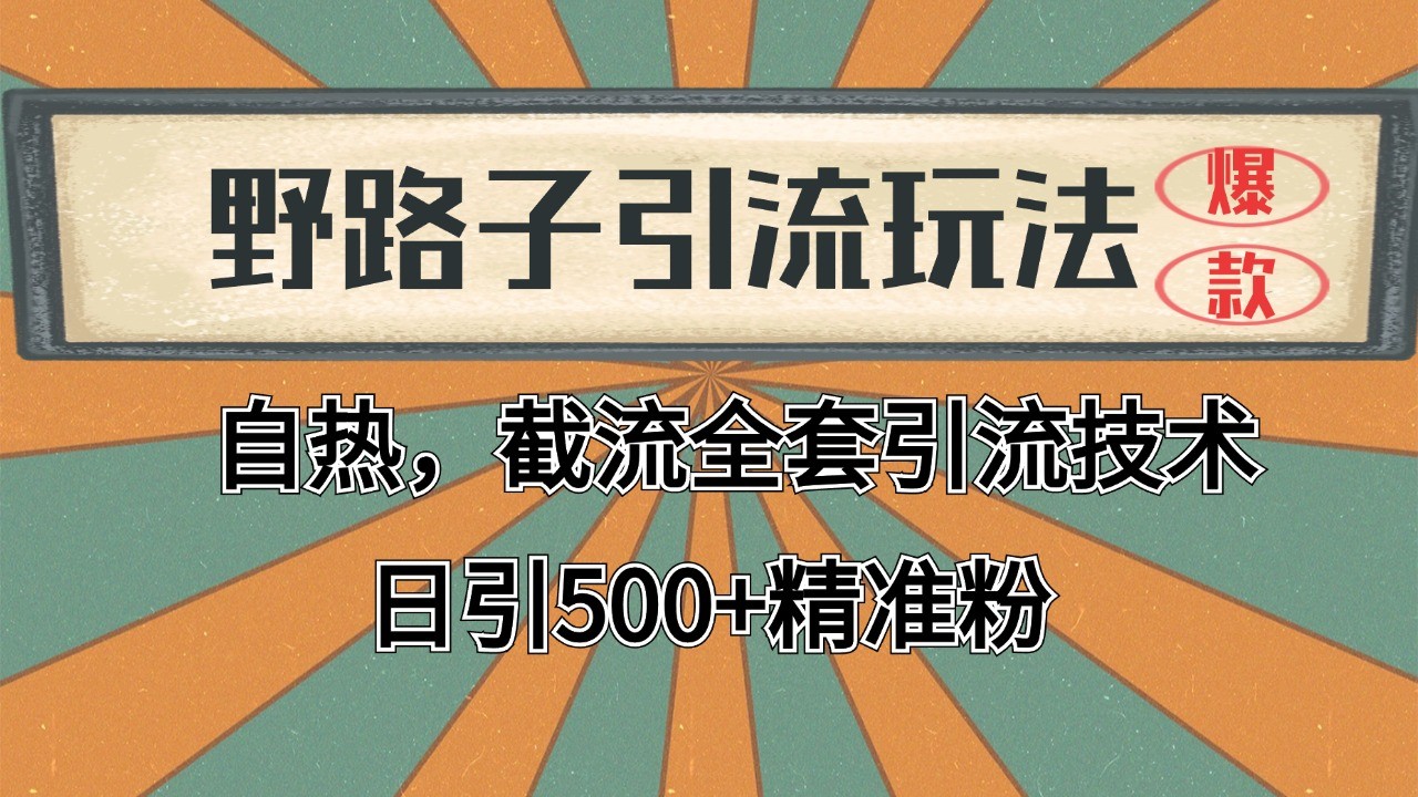 2024首发野路子引流玩法截流自热全平台打法，全自动引流【日引2000+精准客户】-天行资源库