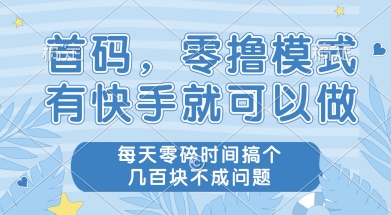 首码零撸项目，有快手就可以做，每天业务时间搞个几张不是问题【揭秘】-天行资源库