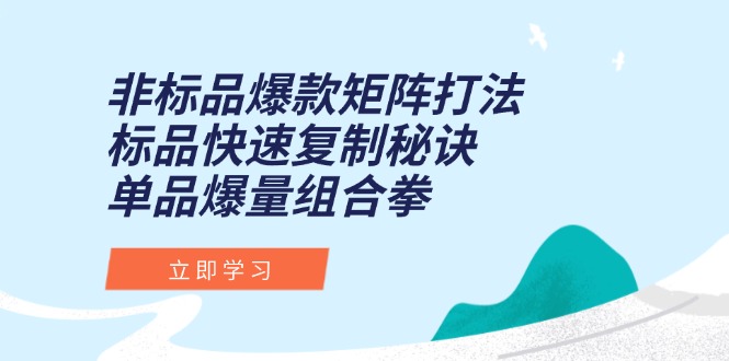 非标品爆款矩阵打法，标品快速复制秘诀，单品爆量组合拳-天行资源库
