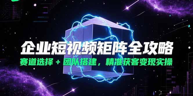 企业短视频矩阵全攻略，赛道选择+团队搭建，精准获客变现实操-天行资源库