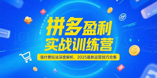 拼多多盈利实战训练营，强付费玩法深度解析，2025运营技巧合集-更新6月-天行资源库