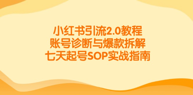 小红书引流2.0教程，账号诊断与爆款拆解，七天起号SOP实战指南-天行资源库