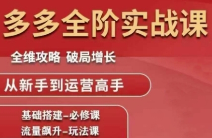 拼多多全阶实战课程，全维攻略，破局增长，从新手到运营高手-天行资源库