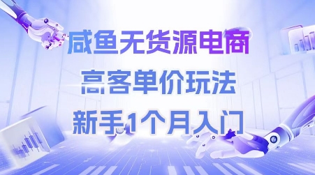 咸鱼无货源电商，高客单价玩法，新手1个月入门-天行资源库