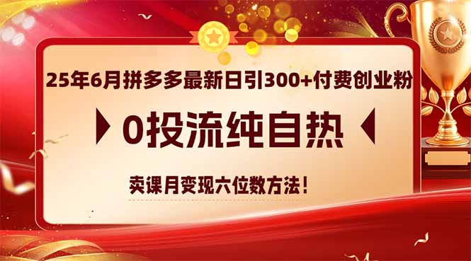 25年6月拼多多最新日引300+付费创业粉，0投流纯自热 卖课月变现六位数方法-天行资源库