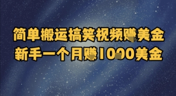 简单搬运搞笑视频挣美金，新手一个月入1k美金-天行资源库