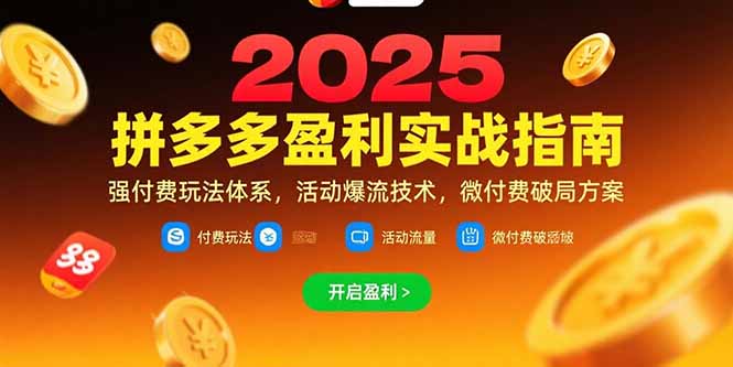 拼多多盈利实战指南，强付费玩法，活动爆流技术，微付费破局方案(更新7月-天行资源库