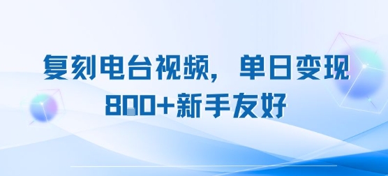 复刻电台视频，单日变现8张+新手友好，长期可做-天行资源库