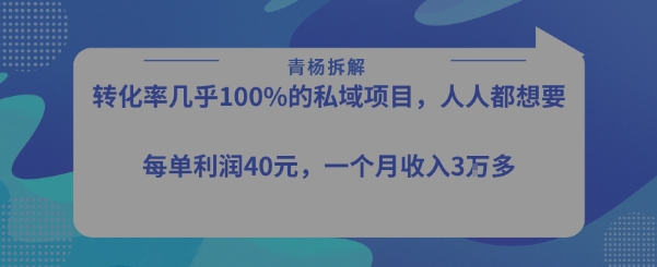 转化率最高的私域项目，每单利润40-50米，月入过1w-天行资源库