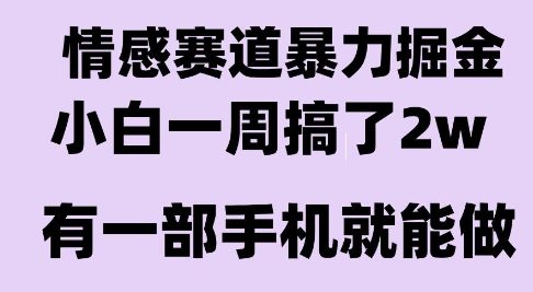 情感暴力掘金项目，新人操作一周挣了2W，长期稳定小白可做【揭秘】-天行资源库