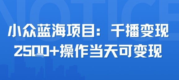 小众蓝海项目，千播变现2.5k+操作当天可变现-天行资源库