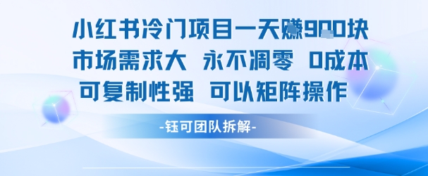 小红书冷门项目一天收益9张，市场需求大，0成本，可复制性强可以矩阵操作-天行资源库