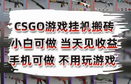 CSGO游戏挂G搬砖，小白纯手机即可操作，不用电脑打游戏，日入3张+，副业网创项目【揭秘】-天行资源库