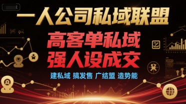 一人公司私域联盟，高客单私域，强人设成交，建私域 搞发售 广结盟 造势能-天行资源库