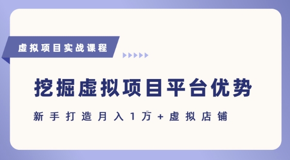 抓住虚拟项目各平台优势，新手轻松月入1W+(给出具体建议)-天行资源库