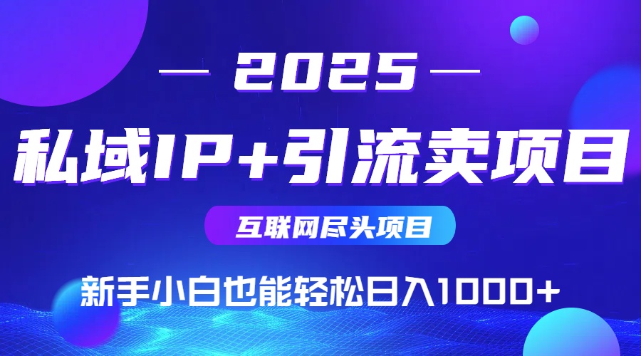 2025网创尽头项目,私域IP+引流,新手小白也能在家日入1000+-天行资源库