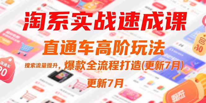 淘系实战速成课，直通车高阶玩法，搜索流量提升，爆款全流程打造(更新7月-天行资源库