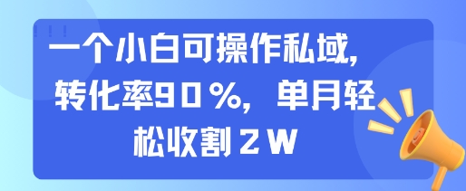 一个小白可操作私域，转化率90%，单月轻松收割2W-天行资源库