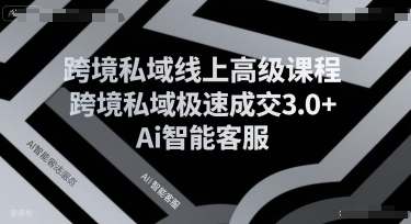 跨境私域线上高级课程，跨境私域极速成交3.0+Ai智能客服-天行资源库