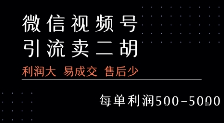 视频号卖二胡教程，利润大 易成交 售后少，一单利润5张+-天行资源库