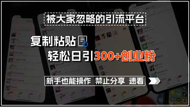 被大家忽略的引流平台，复制粘贴轻松日引300+创业粉，新手也能操作，禁…-天行资源库