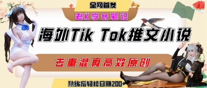 海外tiktok小说推文暴力项目，高停留率，高转化率，上手后一天搞顿饭钱不是问题-天行资源库