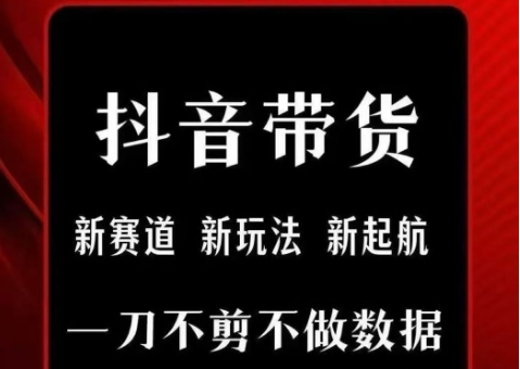 抖音短视频一刀不剪带货，不剪辑，不直播，每天发个视频，等着出单获取带货佣金-天行资源库