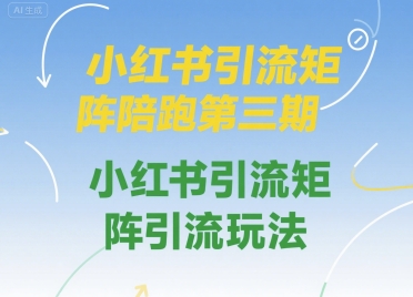 小红书引流矩阵陪跑第三期，小红书引流矩阵引流玩法-天行资源库