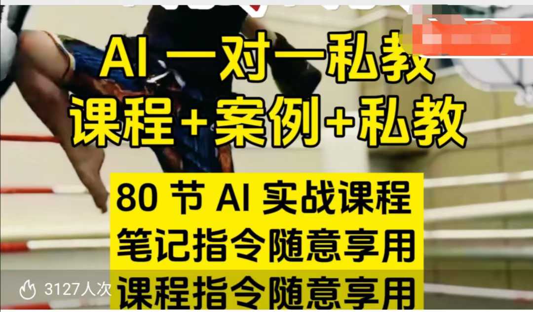 AI指令实战课，课程+案例，80节AI实战课程，笔记指令随意享用，课程指令随意享用(更新7月)-天行资源库