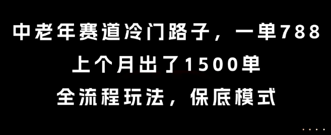 中老年赛道冷门路子，一单788，上个月出了1500单，全流程玩法，保底模式【揭秘】-天行资源库