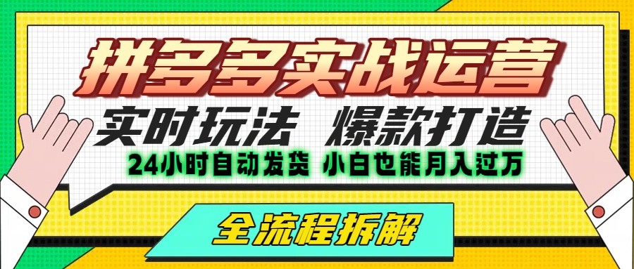 拼多多最新实战运营高投产：长久稳定项目，单店利润一天三位数-天行资源库
