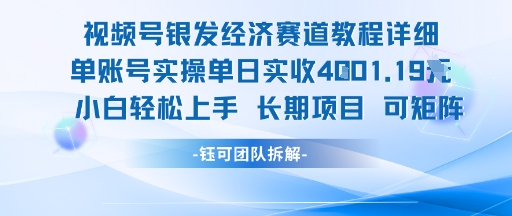 视频号银发经济赛道单账号实操单日实收1k+，小白轻松上手长期项目-天行资源库