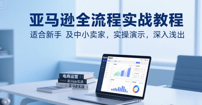 亚马逊全流程实战教程，适合新手及中小卖家，实操演示，深入浅出-天行资源库