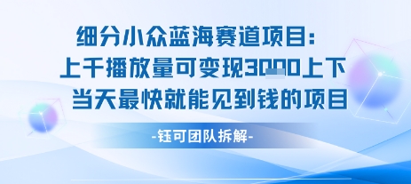 小众蓝海赛道项目：当天变现1k+适合新手操作 +适合长期玩-天行资源库