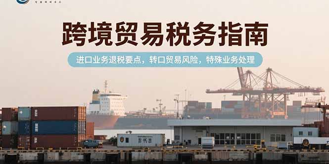 跨境贸易税务指南，进口业务退税要点，转口贸易风险，特殊业务处理-天行资源库